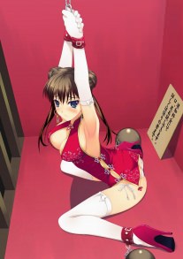 hentai on moregirls (1527)